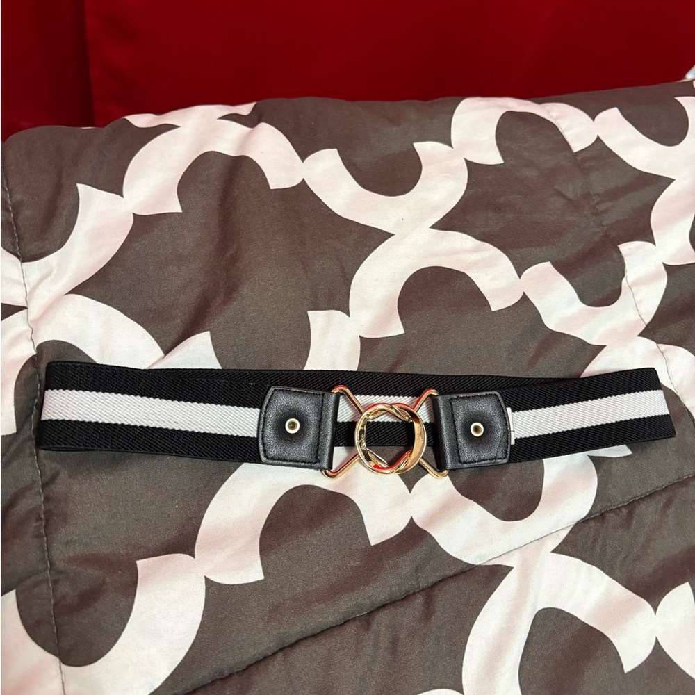 Express Black and White Belt with Gold Buckle